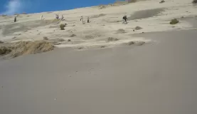 Coming down to the beach