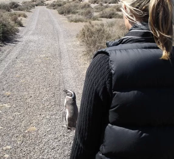 Lola was following a penguin!