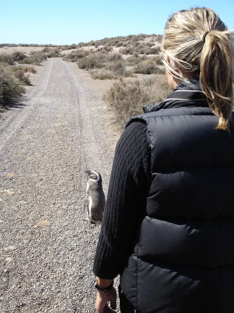 Lola was following a penguin!