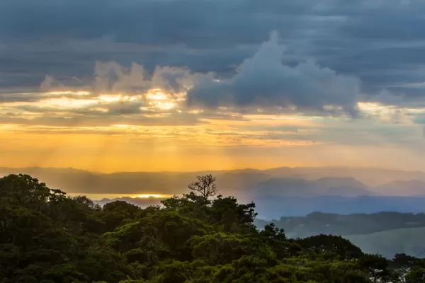 Incredible cloudforest views