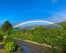 A brilliant rainbow in the Monteverde cloudforest!