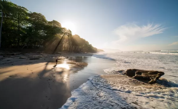 Explore the stunning beaches of Costa Rica