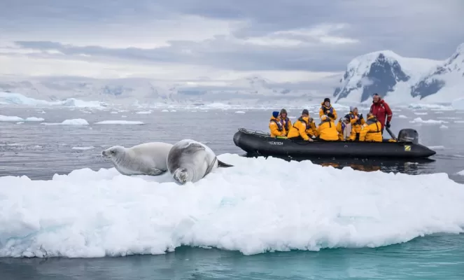 Seal encounters on a Quark Expeditions zodiac cruise