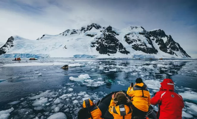 Spotting an orca in Antarctic waters