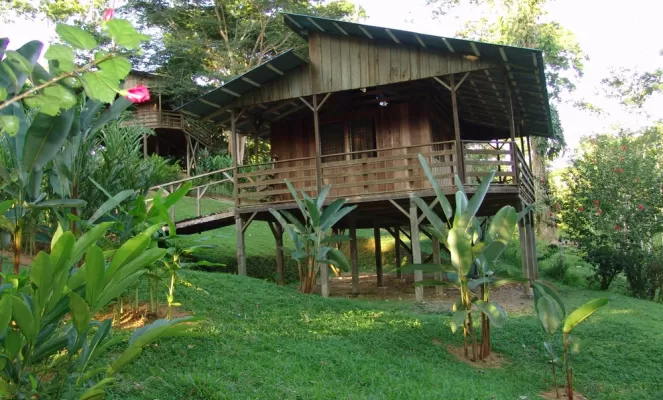 Lodge accommodations in a lush setting