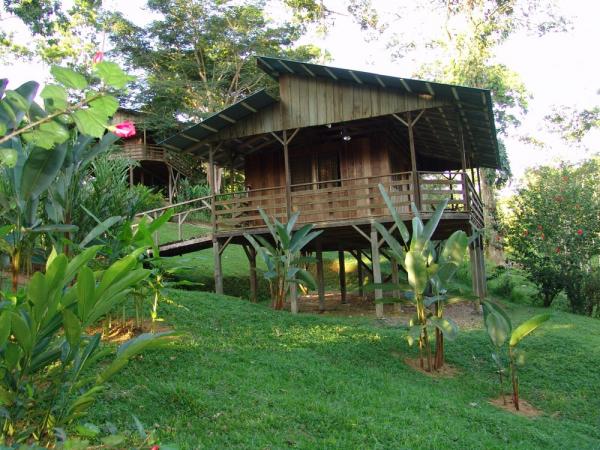Selva Bananito - Relax at a comfortable ecolodge on an Adventure Life ...