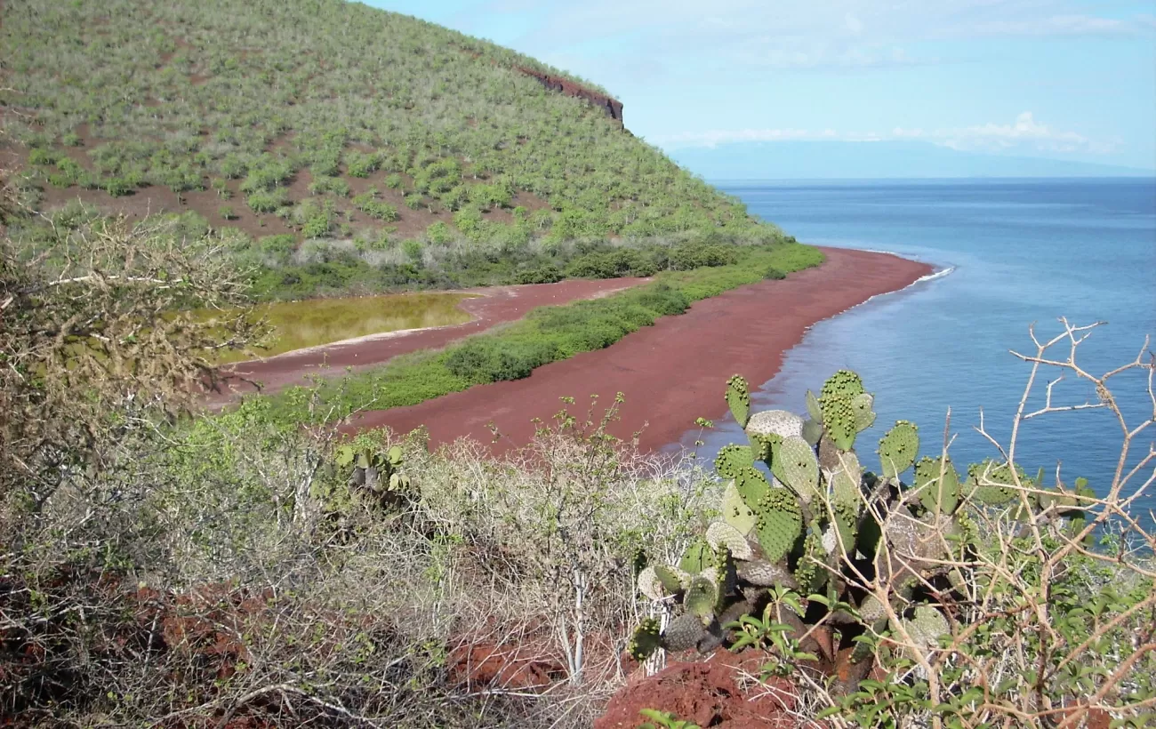 Rabida Island red sand beach in the Galapagos