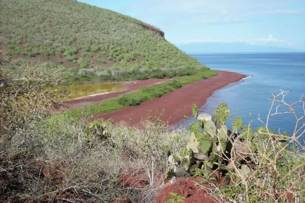 Rabida Island red sand beach in the Galapagos