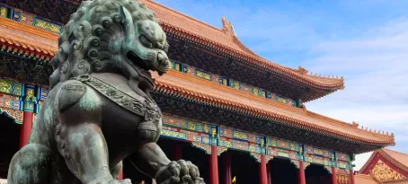 Explore the history and culture of China