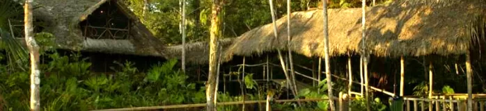 Sacha Lodge