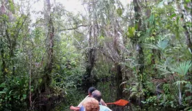 Canoe ride through the Amazon