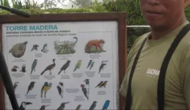 Bird guide