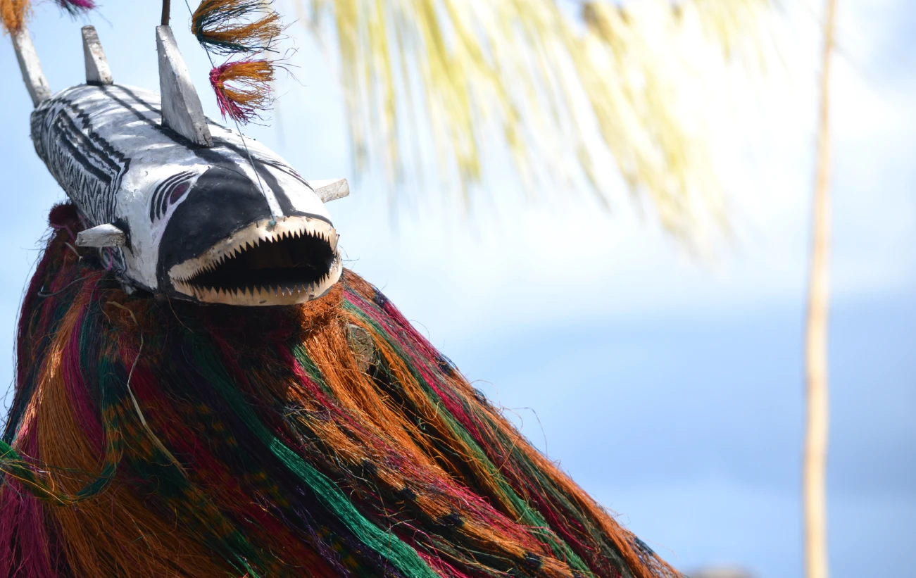 Learn about the cultures of Papua New Guinea