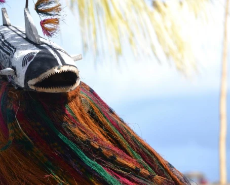 Learn about the cultures of Papua New Guinea