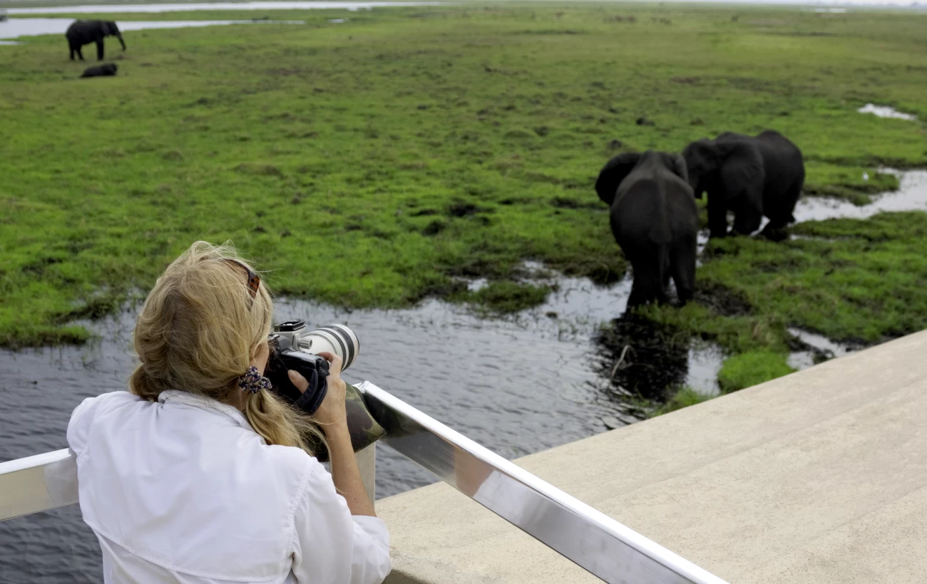 Marvel at the wildlife of Africa on a river cruise