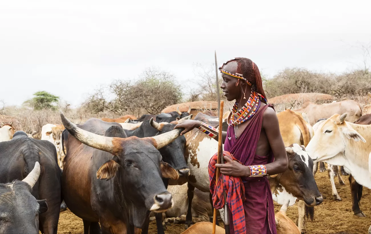Meet the Maasai people of Tanzania