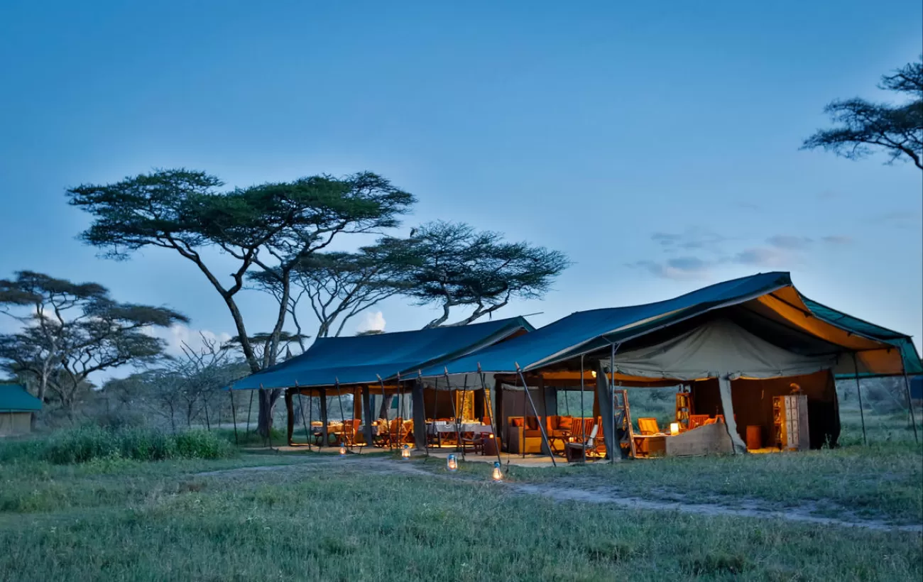 Nyasi Migrational Camp, Serengeti National Park, Tanzania