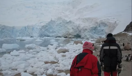 Wandering Antarctica
