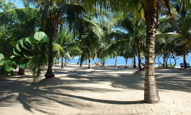 Hamanasi Adventure & Dive Resort