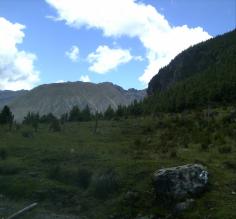 A view of the surrounding nature