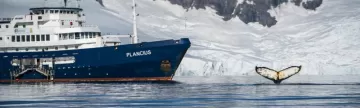 Plancius in the Antarctic Peninsula