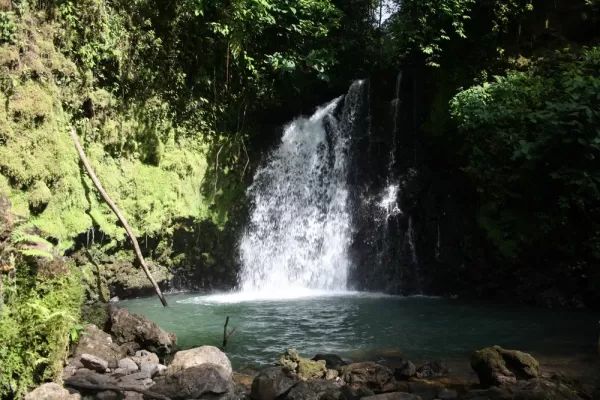 Secluded waterfall at AOL. So peaceful, worth the climb down