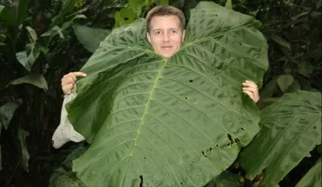 Man-sized leaf in Arenal Observatory Lodge garden