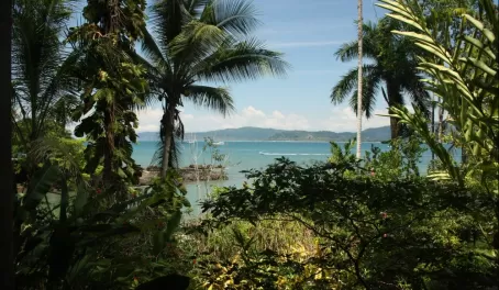 View of Drake Bay