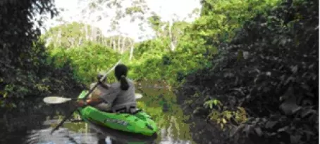 Kayaking into a lagoon off the Napo River