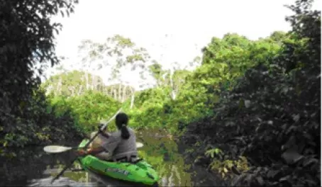Kayaking into a lagoon off the Napo River