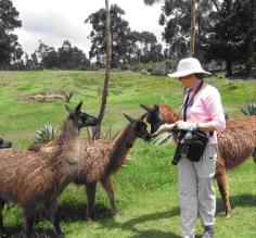 Kathleen and Llamas at Cochasqui