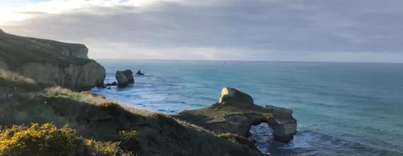 Coastal beauty of Dunedin