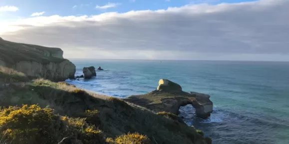 Coastal beauty of Dunedin