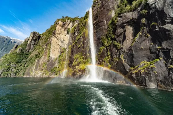 Explore the stunning Milford Sound