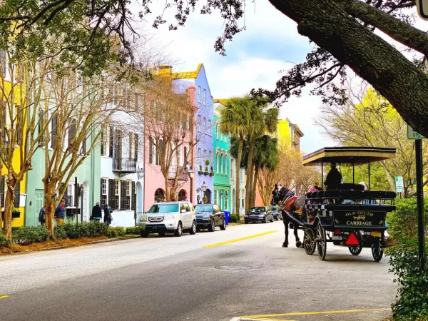 Tour colorful, historic Charleston, South Carolina