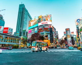 Explore colorful Tokyo