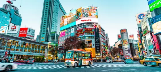 Explore colorful Tokyo