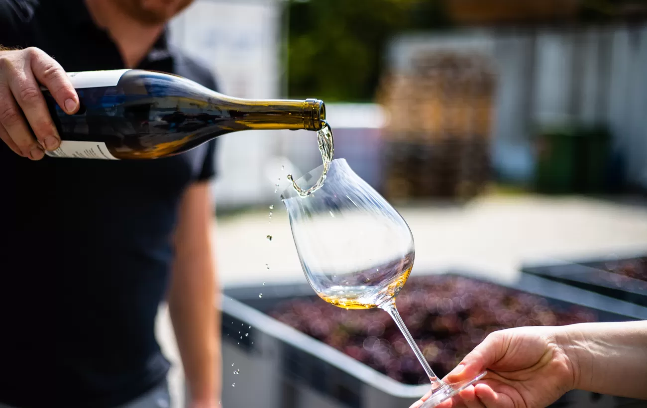Enjoy a wine tasting at a local vineyard