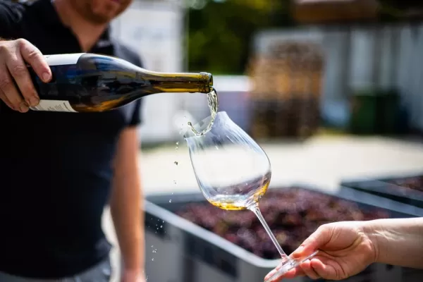 Enjoy a wine tasting at a local vineyard