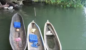 Dugout canoes
