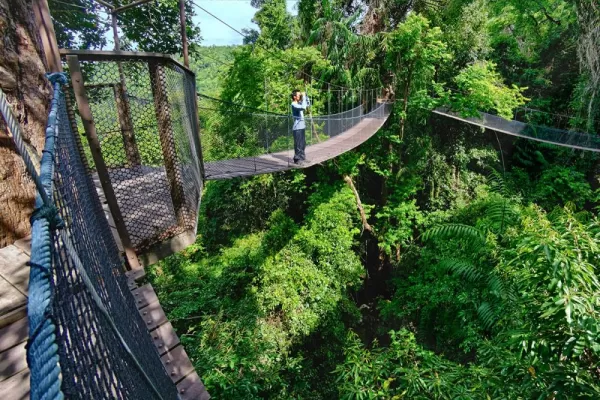 Complimentary Canopy walk at Bungaraya Island Resort