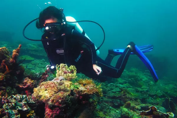Experience extraordinary Scuba diving