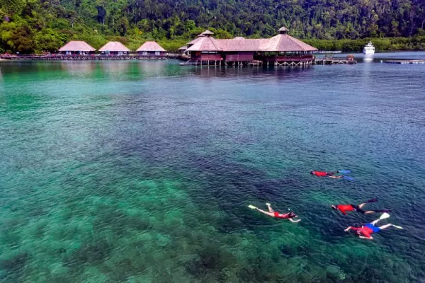 Snorkel at Borneo Eagle Resort