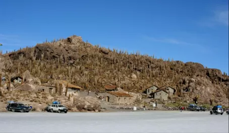 Fish Island - locally known as Inka Huani - Inka Home
