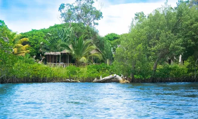 Cocobay Experience