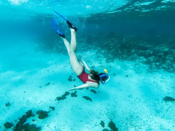 Scuba diving in Tobago cays