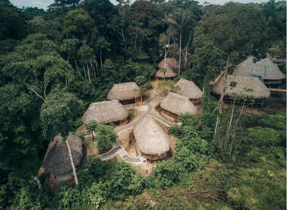 amazon rainforest tribe huts