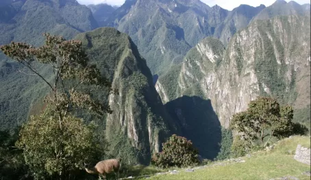 Machu Picchu mountains