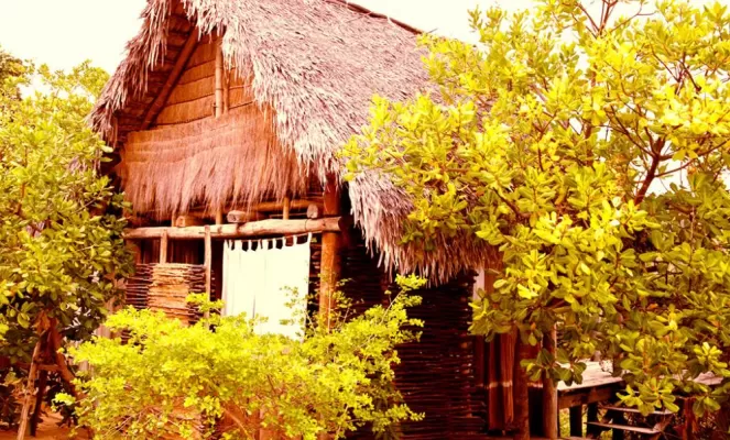 Standard Lodge