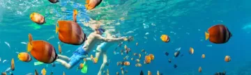 Couple snorkeling in the tropical waters of the Caribbean